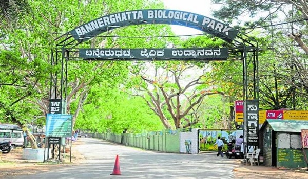 Bannerghatta National Park