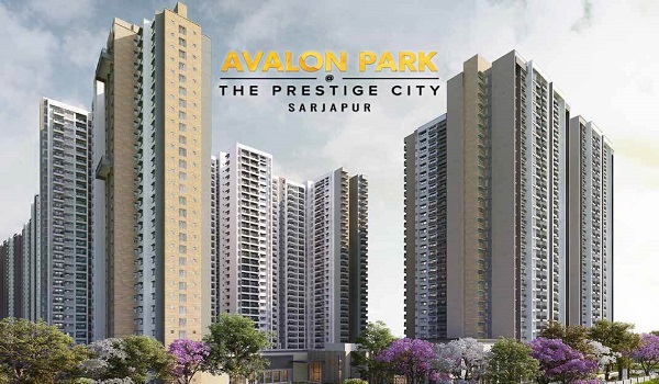  Prestige Avalon Park