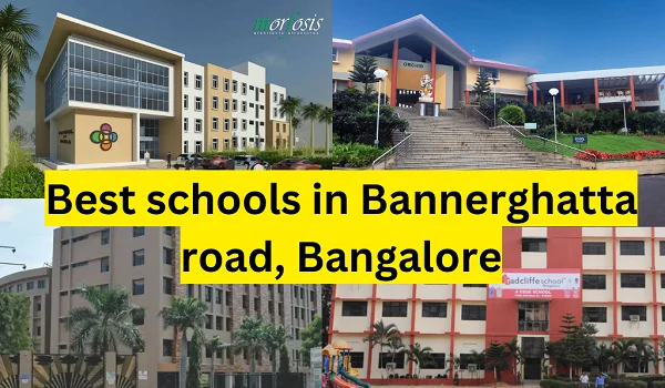 Schools Near Bannerghatta Road
